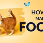 Make Cat food